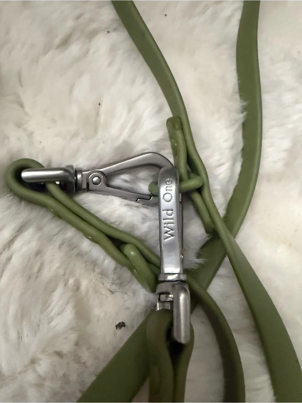 Wild One NWOT Green Waterproof Dog Leash with Silver Hardware SMALL